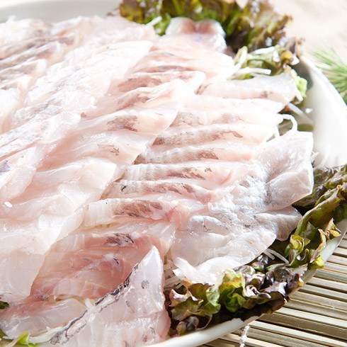 쿠팡 모바일 [평촌농수산물시장] 평촌수산 