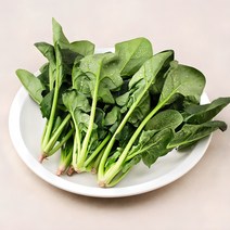 내산 친환경 시금치, 200g, 1개