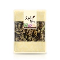 그린약초 회화나무열매 괴각 300gx2개, 1개, 600g