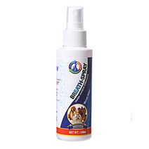 브리더 구강청정제, 1개, 120ml, 120ml