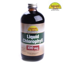 다이나믹헬스래버러터리즈 리퀴드 클로로필 100mg, 473ml, 1개