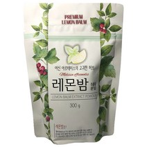 보미에프엔씨 레몬밤 추출물분말, 300g, 1개