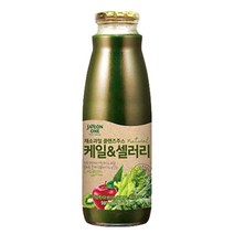 자연원 채소 과일 네츄럴 클렌즈 주스 케일 & 셀러리, 980ml, 1개