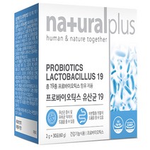 네츄럴플러스 프로바이오틱스 유산균19 (2g x 30포), 60g, 1박스