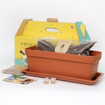 베란다레시피 한뼘텃밭세트 브라운, 1세트