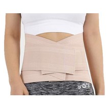 AOS 101 WAIST BACK BRACE 허리보호대 9인치 L, 1개