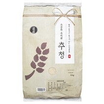 곰곰 소중한 우리쌀 추청 2022년산, 10kg, 1개