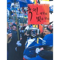 축제 세상의 빛을 담다, 시공아트, 김규원 저