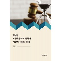 [세창출판사]형법상 소급효금지의 원칙과 시간적 정의의 문제, 세창출판사, 김일수