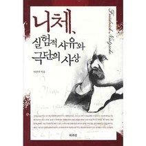 니체 실험적 사유와 극단의 사상, 책세상, 이진우 저