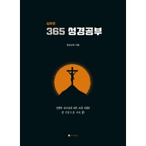 [하이비전]365성경공부 : 심화편, 하이비전