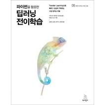 [위키북스]파이썬을 활용한 딥러닝 전이학습 (Transfer Learning으로 빠르고 손쉽게 구축하는 고급 딥러닝 모델), 위키북스