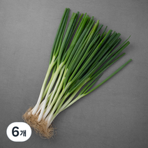곰곰 국내산 친환경 흙대파, 800g, 6개