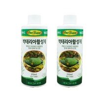 원터치 박테리아 활성제, 250ml, 2개입