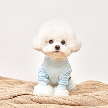 베이비도그 솜사탕올인원 DA011, 블루