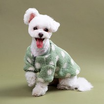 반려동물 동글 뽀글 점퍼 DWJ017, 그린