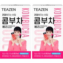 티젠 콤부차 베리, 5g, 10개입, 2개