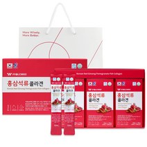 웰니스바이오 홍삼 석류콜라겐 + 쇼핑백, 300ml, 1개