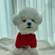 펫디자인 강아지 포켓 맨투맨, 레드