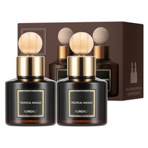 쿤달 퍼퓸 차량용 디퓨저 75ml 2개 + 우드볼스틱 2개, 트로피컬망고향, 1세트