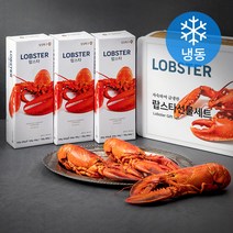 세웅 자숙하여 급냉한 랍스타 선물세트 (냉동), 1세트