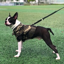 파니온 강아지 앞섬방지 산책훈련 밀리터리 하네스, 카키