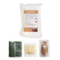 스타일온 타코야끼 만들기 세트, 450g, 1세트