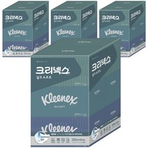 크리넥스 실크소프트 미용티슈 천연펄프 2겹 250매, 24개