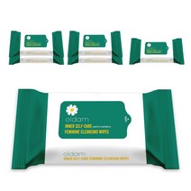 올담미인 여성 청결 물티슈 휴대형, 20매, 6개입