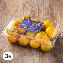 중문농협 당도선별 하우스 감귤, 1.4kg(S~L), 3팩