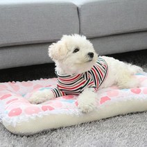 레드퍼피 강아지용 자연을 닮은 숨쉬는 사각방석, 꽃농장