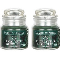 르미에 스몰자 캔들 70g, 유칼립투스, 2개
