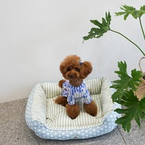 리얼펫 유앤아이 하우스 강아지 방석, 아쿠아
