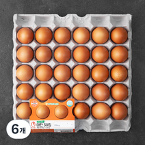 목계촌 대란 30구, 6개