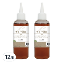 맑을담 병풀 추출물 퓨어 100ml, 12개