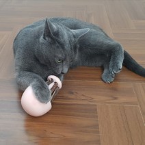 펫디아 캣닢 오뚝이 고양이 장난감 세트, 핑크, 1세트