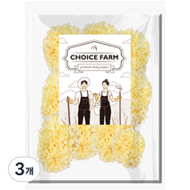 초이스팜 백목이버섯, 3개, 500g