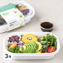 슬림쿡 아보카불고기 샐러드, 300g, 3개