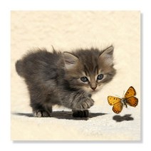 디아섹액자 벽걸이용, hunting kitten