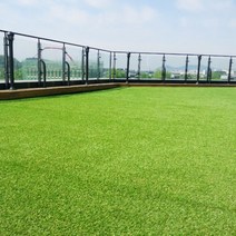 베스트그린 굳센글로벌 스포츠용 인조롤잔디 PX3500 100cm x 300cm, 인조잔디, 1개