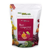 타코 소일에이드 비트&자몽, 1kg, 1개