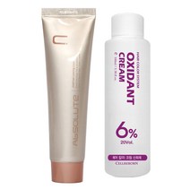 에비뉴쉬에뜨 앱솔루트 컬러링 크림 염색제 120g + 산화제 100ml, 8BG 블루그린, 1세트