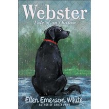 Webster: Tale of an Outlaw Hardcover, Aladdin Paperbacks