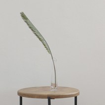 포홈 야자수 잎 조화 2p, 그린