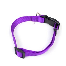 인터팝 심플 반려견 반려묘 컬러목줄 04, 3개입