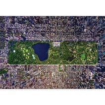 비엔퍼즐 뉴욕과 센트럴파크 직소퍼즐 10-069, 1000피스, 혼합 색상