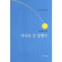 바다로 간 달팽이:김해영 시집, 시와사람, 김해영 저
