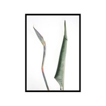 더윤 북유럽 캔버스액자 BOT0011, 메탈블랙