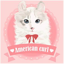 아이러브페인팅 DIY 명화그리기, 해피 아메리칸컬, 1개