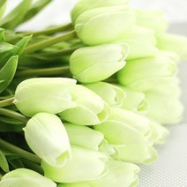 블럭마트 튤립 조화 6p, type8